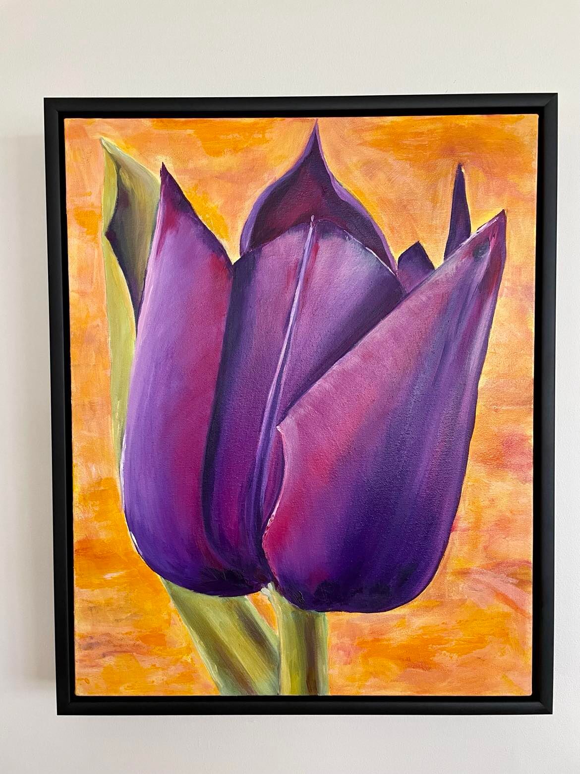 Purple Tulip with frame