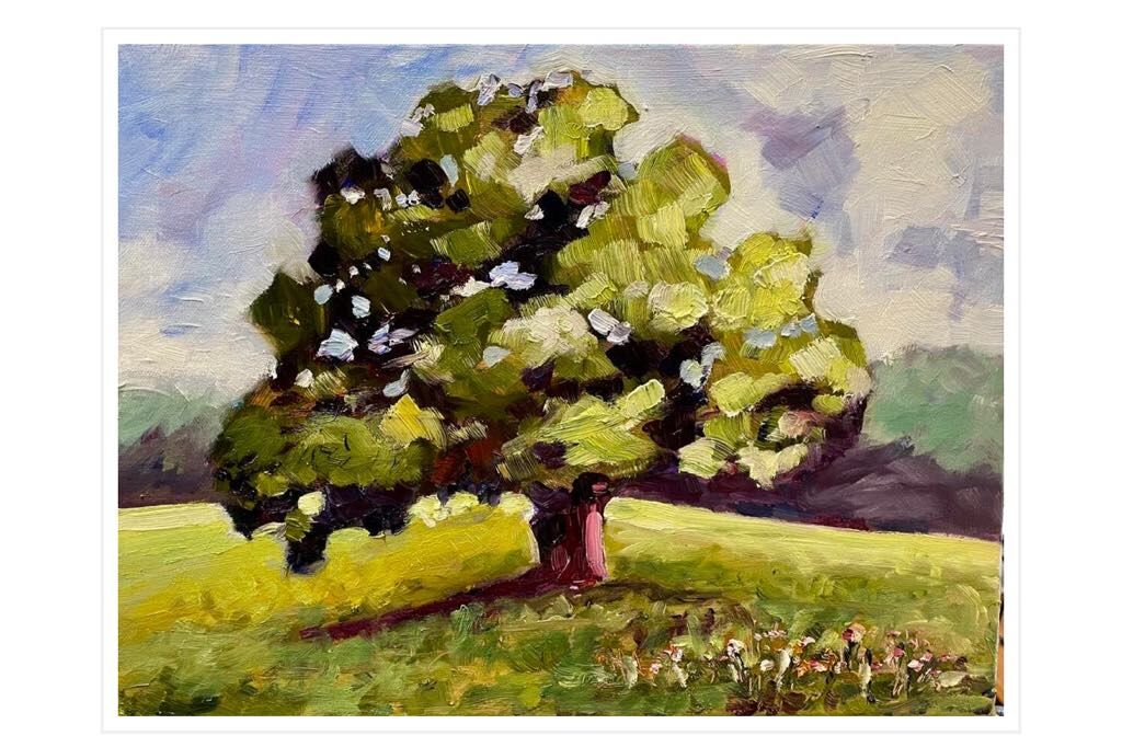 Beginners Landscape #2