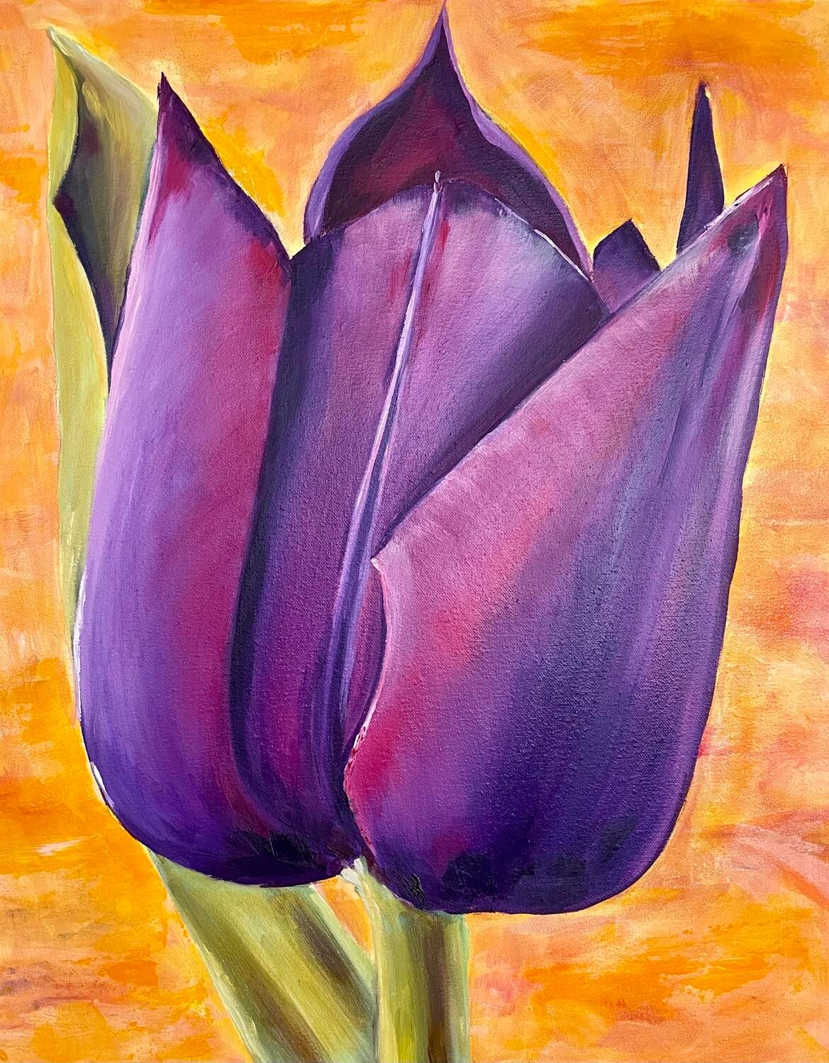 Purple Tulip