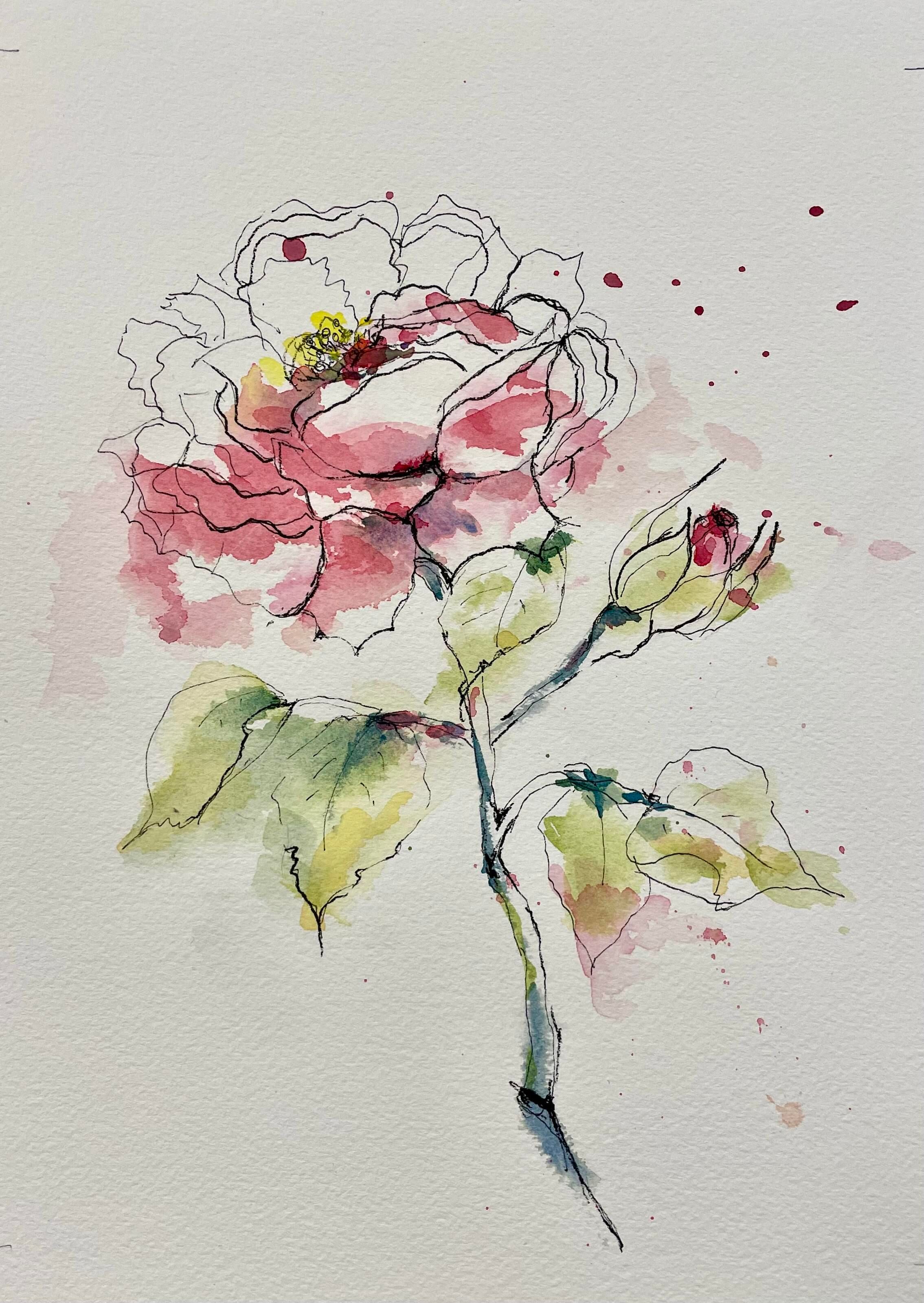 Single Rose Pen and Wash