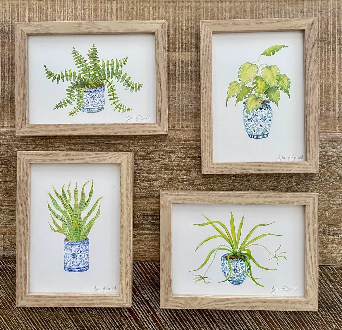 4 Potted Plants