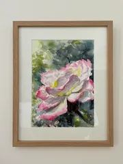 Pink Rose Watercolour in Frame