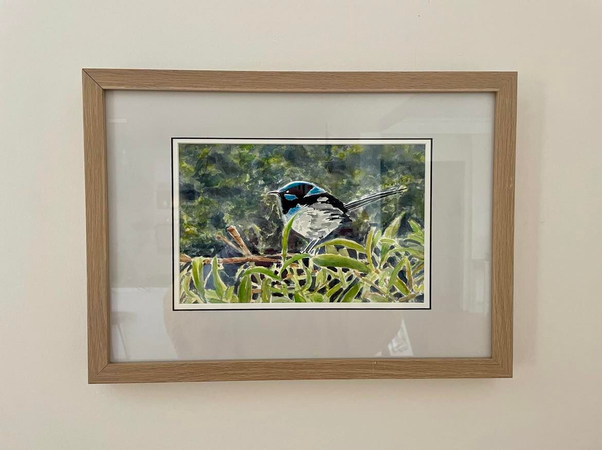 Blue Wren Framed