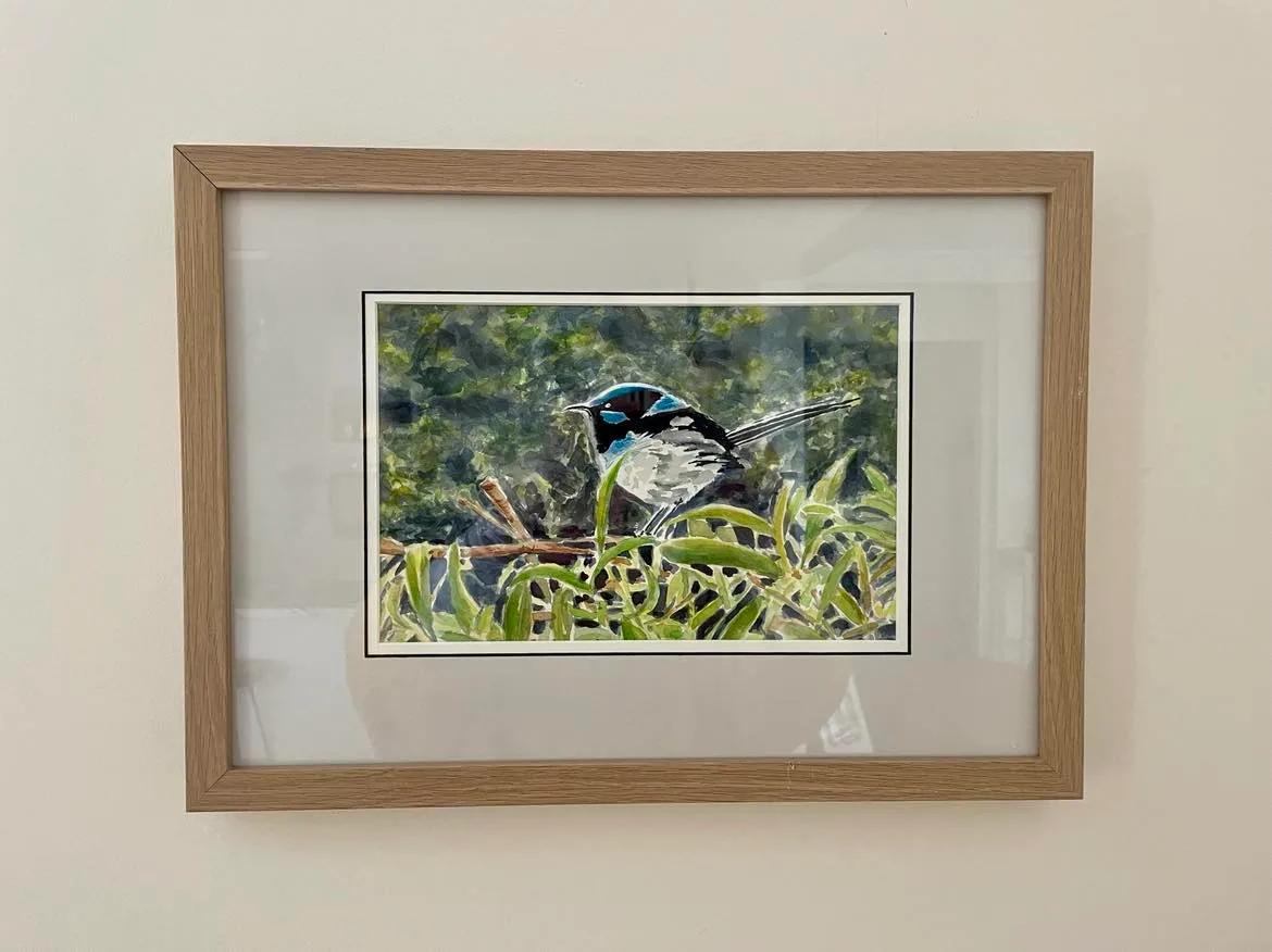 Blue Wren Framed